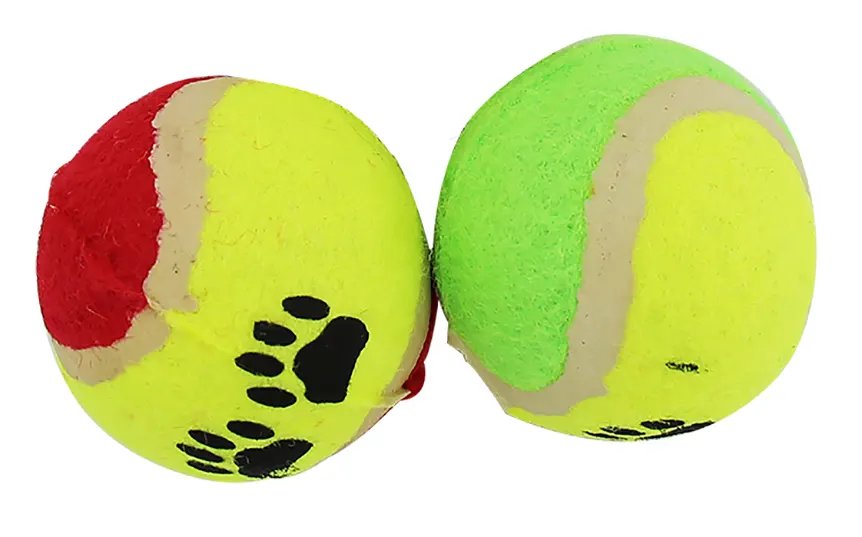 Brinquedo para Cão Bola Grande Pc 2 Peças — imagem 2