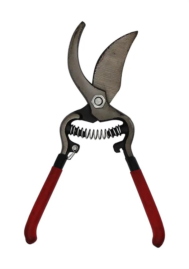 Tesoura de Poda 25cm — imagem 2