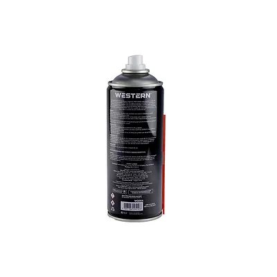 Silicone Spray Lubri 400ml — imagem 4